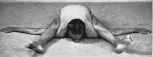 yoga postura kurmasana vista desde arriba